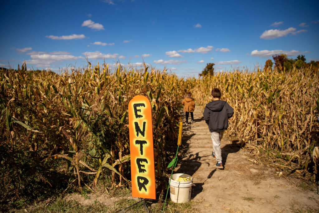 Vogt’s Farm Creepy Enter Maze Sign